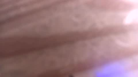 Snapshot of 0815____pet chatting on 5, 7, 2026 Peter online show from 5, 7, 2026