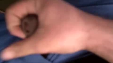 12theose online show from 7, 2, 2026