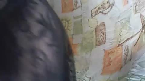 Deluxepussy online show from 14, 11, 2025