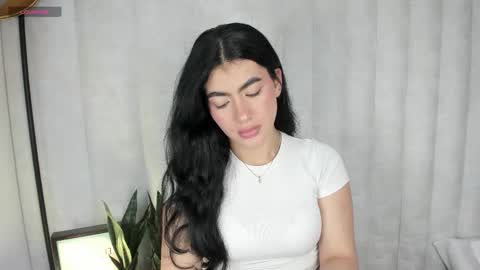  . online show from 11, 11, 2025