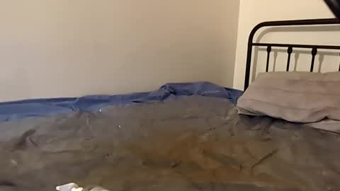 1toxiclust online show from 29, 11, 2025