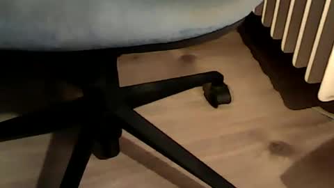 Snapshot of 1vaso chatting on 6, 12, 2024 1vaso online show from 6, 12, 2024