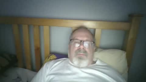 2003dynawideglide online show from 16, 11, 2025