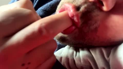 2025rob online show from 1, 3, 2026