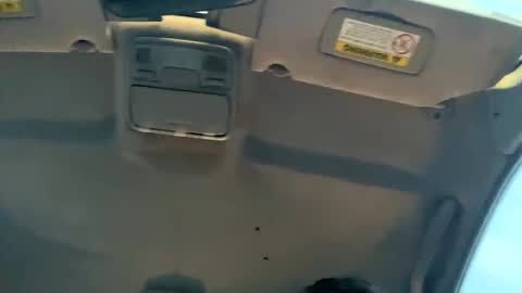 23havefunwitme online show from 17, 2, 2025