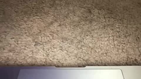 3dging_sub online show from 13, 3, 2026