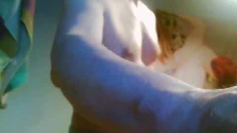 41bigdick41 online show from 8, 4, 2026