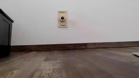 Steven online show from 13, 1, 2026