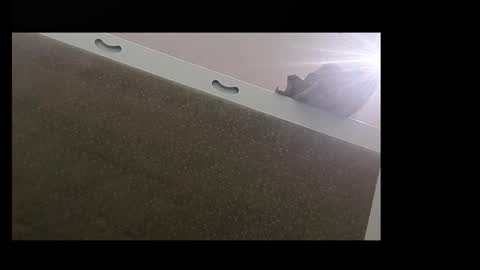 RecentBison online show from 2, 11, 2025