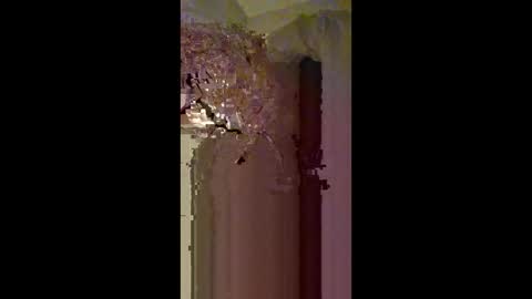 Zeus online show from 22, 2, 2026