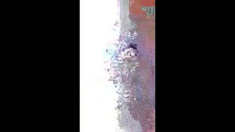 Zeus online show from 22, 4, 2026