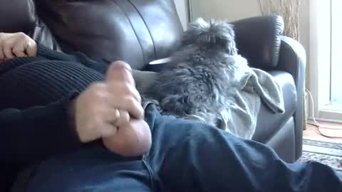 66bear online show from 2, 3, 2025