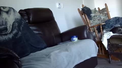 66bear online show from 20, 12, 2025