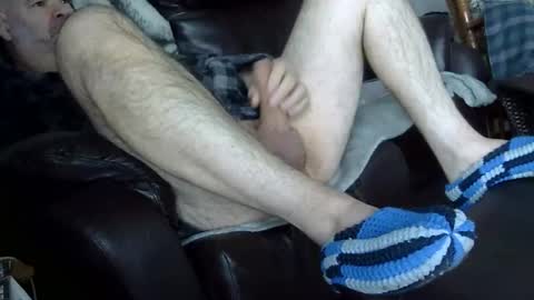 66bear online show from 23, 3, 2026