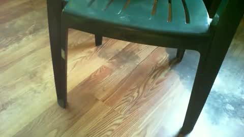 69forever453443 online show from 9, 10, 2025