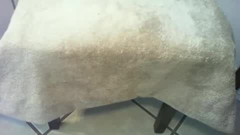 69forever453443 online show from 15, 3, 2026