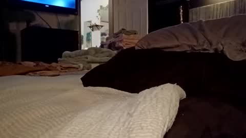 7lairddip online show from 30, 3, 2026