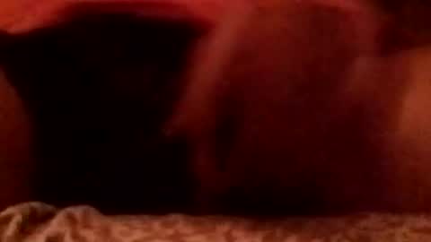 Snapshot of 8inchhardbr chatting on 23, 2, 2026 8inchhardbr online show from 23, 2, 2026