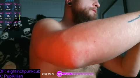 8Inchpunkpup online show from 24, 3, 2026