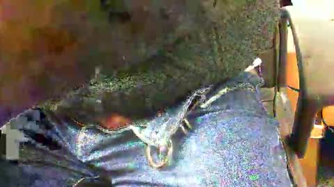 99zeus9 online show from 27, 11, 2025