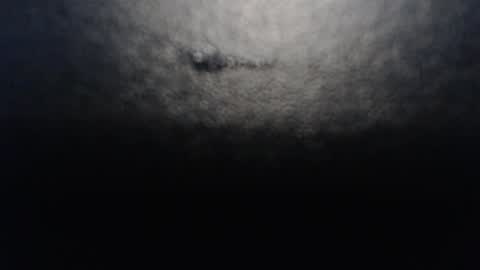 Anne online show from 10, 1, 2025