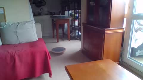 _bubble_buttfunxxx online show from 24, 9, 2025