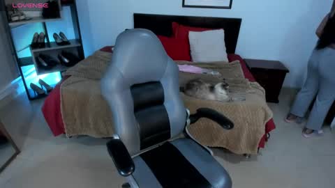 Dani online show from 12, 3, 2025