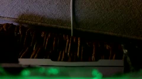 Rex online show from 6, 2, 2026