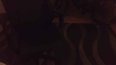 Snapshot of _krakauer_ chatting on 4, 12, 2024 _krakauer_ online show from 4, 12, 2024
