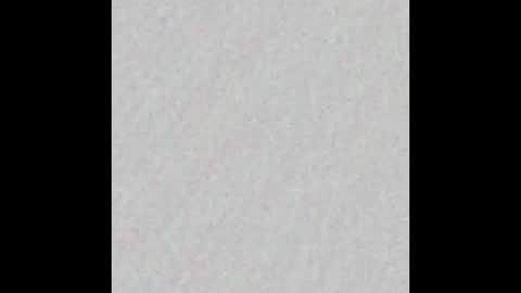 _maccaa_ online show from 2, 12, 2025