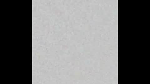 _maccaa_ online show from 13, 1, 2026