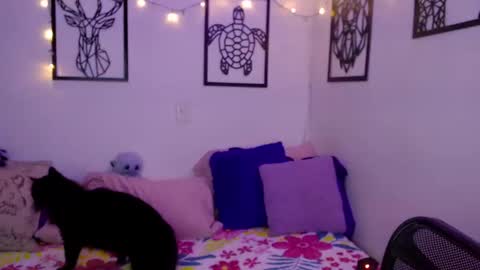 Snapshot of _marcela_wi chatting on 18, 1, 2025 Marce  online show from 18, 1, 2025