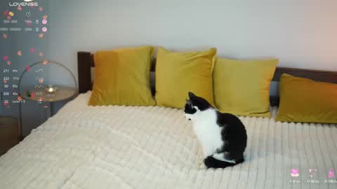 _million_dollarsmile online show from 1, 12, 2025