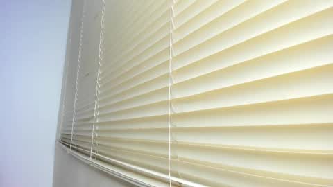 _molly_rosse_ online show from 12, 11, 2025