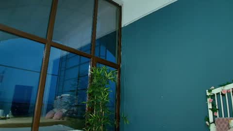 Alisa online show from 19, 11, 2025