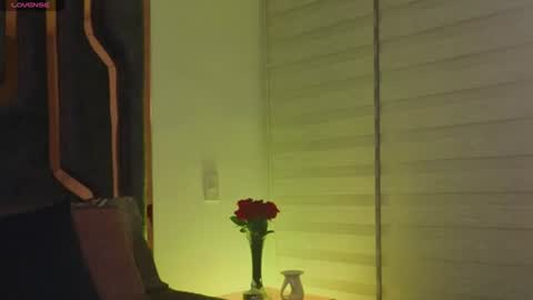Snapshot of _silvia_vega_ chatting on 14, 6, 2026 _silvia_vega_ online show from 14, 6, 2026