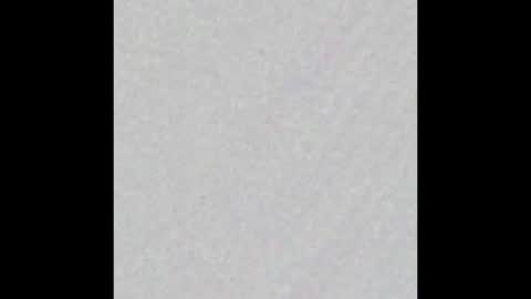 _tammarra_ online show from 25, 3, 2026