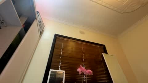 Snapshot of _turb0_tr4sh_ chatting on 6, 6, 2026 _turb0_tr4sh_ online show from 6, 6, 2026
