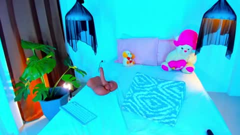 Xynara online show from 17, 6, 2026