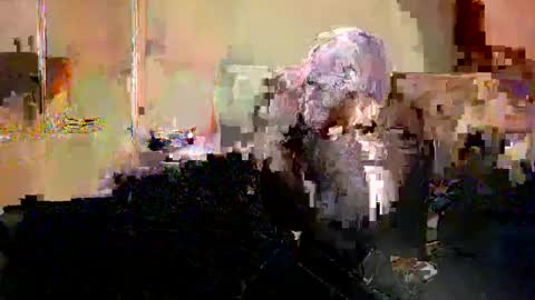Nicole  Thomas  Dave online show from 20, 5, 2026