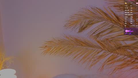 Ally online show from 15, 12, 2024