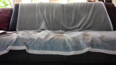 a_nice_dick_77 online show from 7, 2, 2025