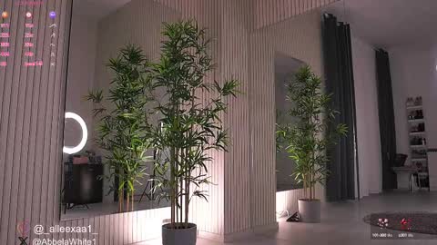 Alexa online show from 12, 2, 2025