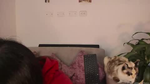Snapshot of abbey_allen chatting on 7, 3, 2025 Abbey IG abby allenn 04 December Online at I will be on vacation dont forget me See you soon online show from 7, 3, 2025