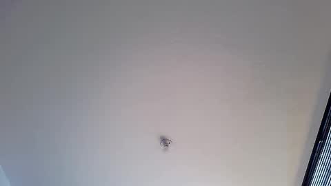 Martina online show from 12, 1, 2025