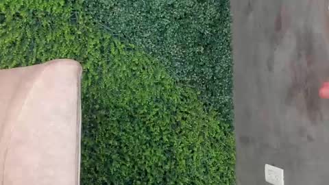 A B B Y online show from 11, 2, 2025