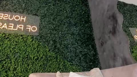 A B B Y online show from 15, 2, 2025