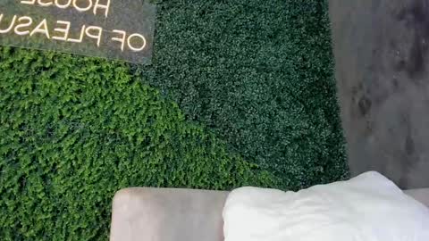 A B B Y online show from 19, 2, 2025