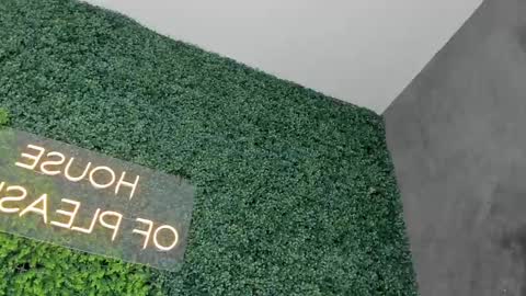 A B B Y online show from 26, 2, 2025