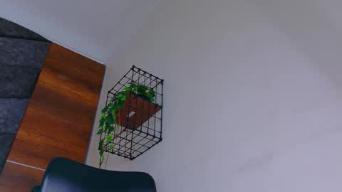 A B B Y online show from 8, 1, 2026